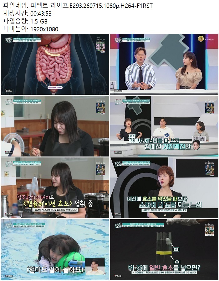 퍼펙트 라이프.E293.260715.1080p.H264