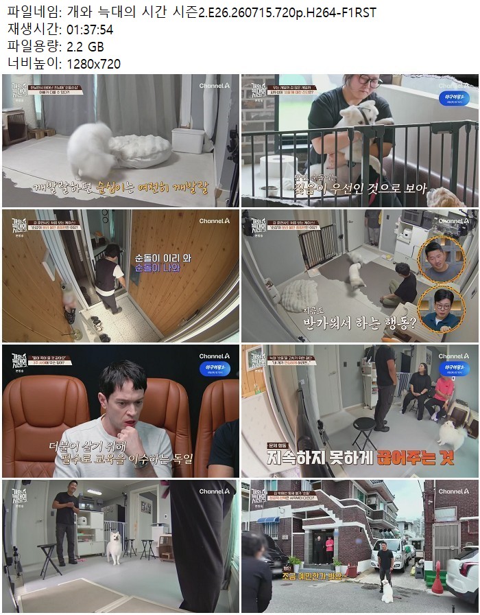 개와 늑대의 시간 시즌2.E26.260715.720p.H264