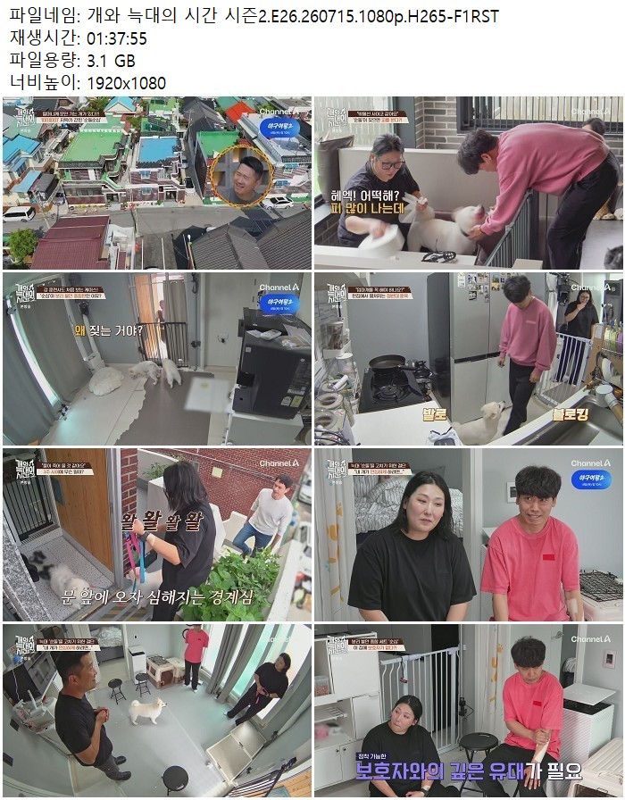 개와 늑대의 시간 시즌2.E26.260715.1080p.H265