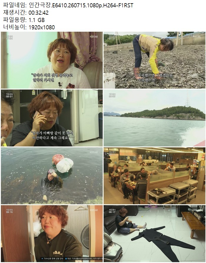 인간극장.E6410.260715.1080p.H264