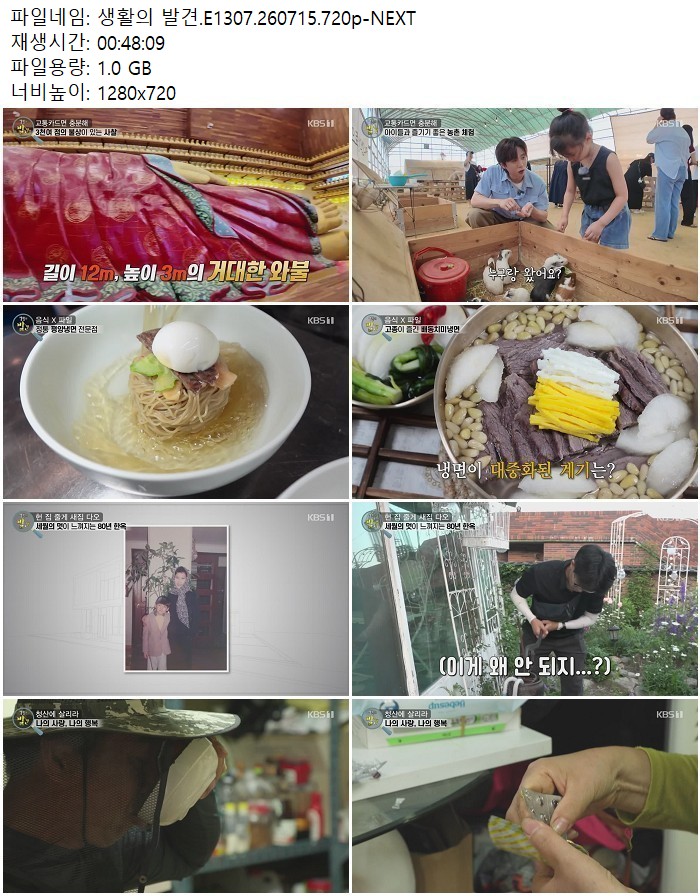 생활의 발견.E1307.260715.720p-NEXT
