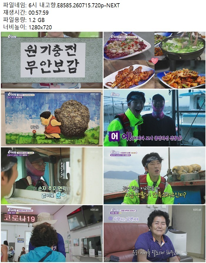 6시 내고향.E8585.260715.720p-NEXT
