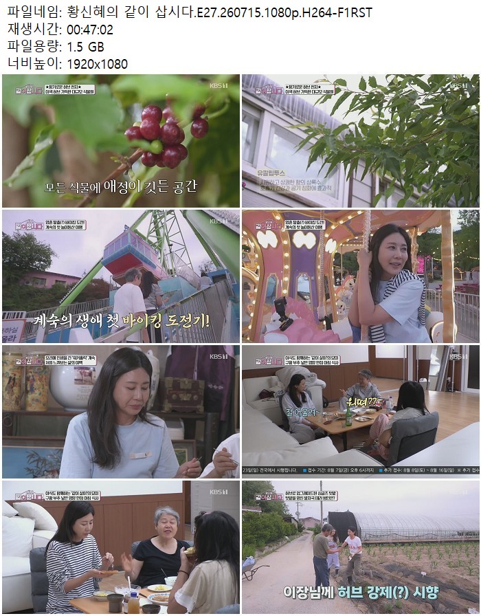 황신혜의 같이 삽시다.E27.260715.1080p.H264