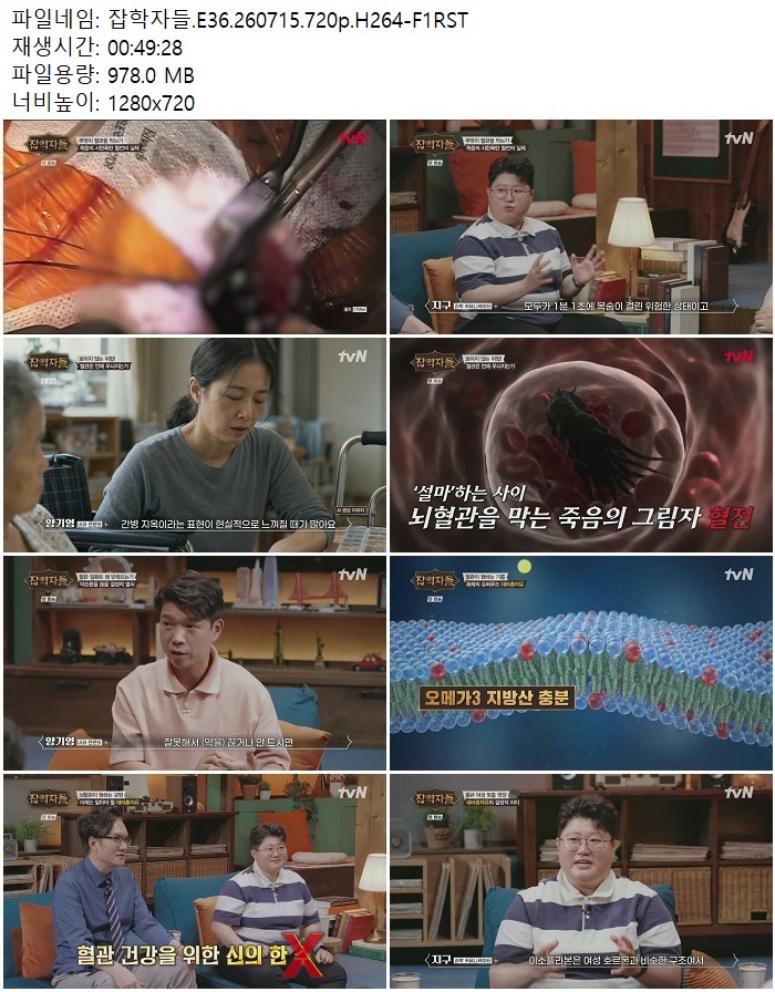 잡학자들.E36.260715.720p.H264