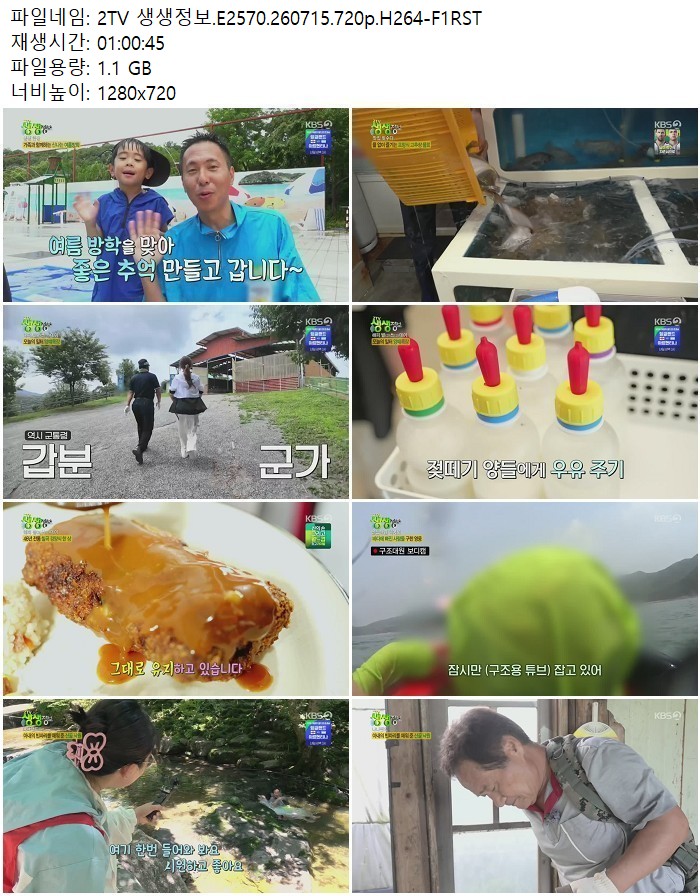 2TV 생생정보.E2570.260715.720p.H264
