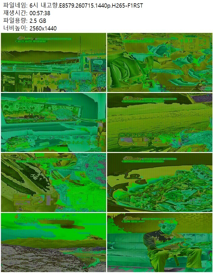 6시 내고향.E8579.260715.1440p.H265
