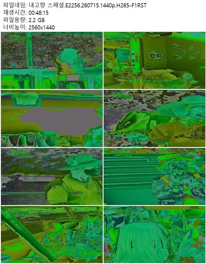 내고향 스페셜.E2256.260715.1440p.H265