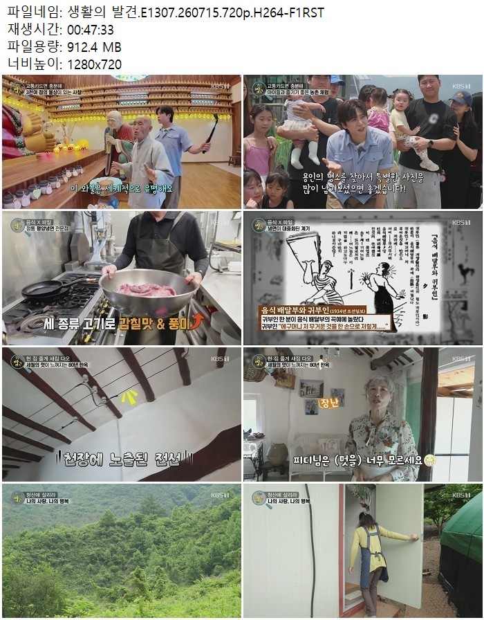 생활의 발견.E1307.260715.720p.H264