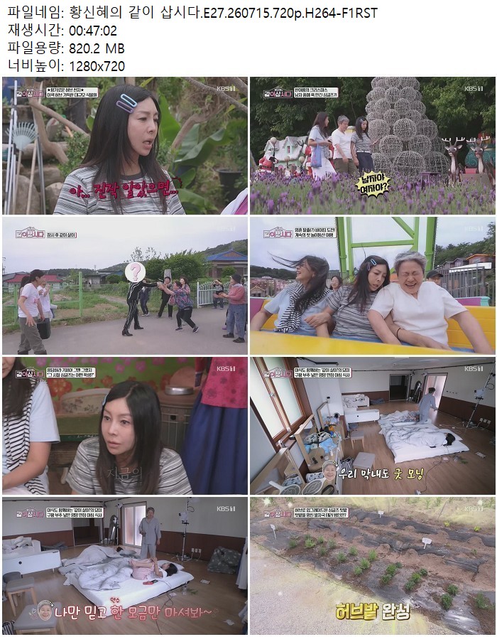 황신혜의 같이 삽시다.E27.260715.720p.H264