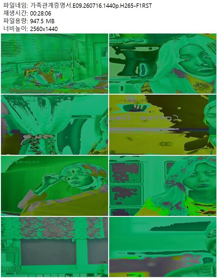 가족관계증명서.E09.260716.1440p.H265