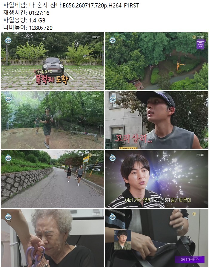 나 혼자 산다.E656.260717.720p.H264-F1RST