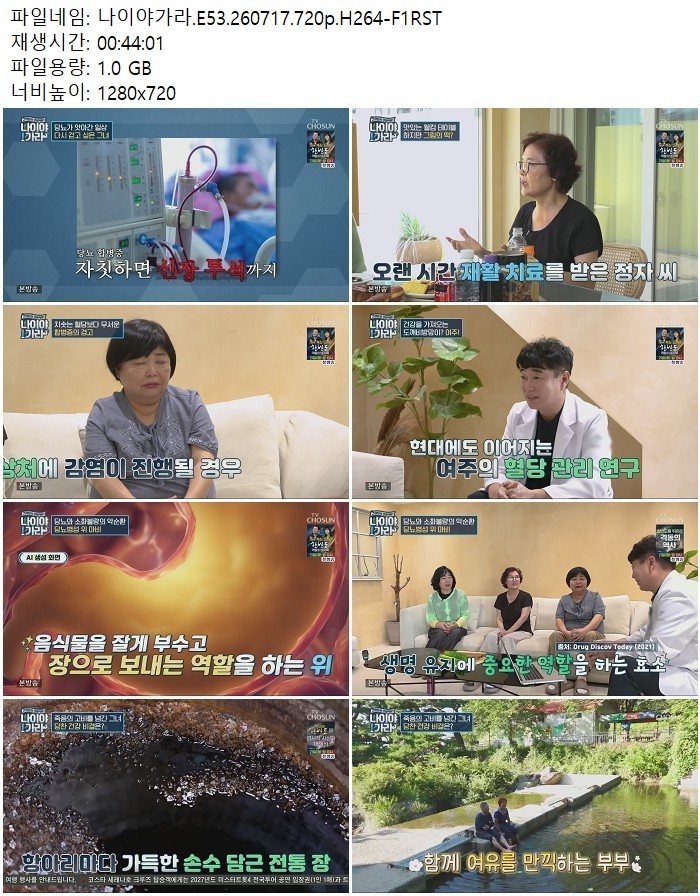 나이야가라.E53.260717.720p.H264