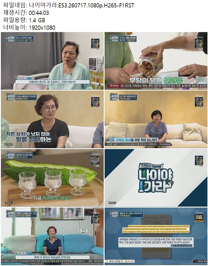나이야가라.E53.260717.1080p.H265