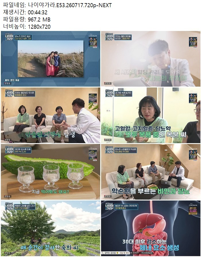 나이야가라.E53.260717.720p-NEXT