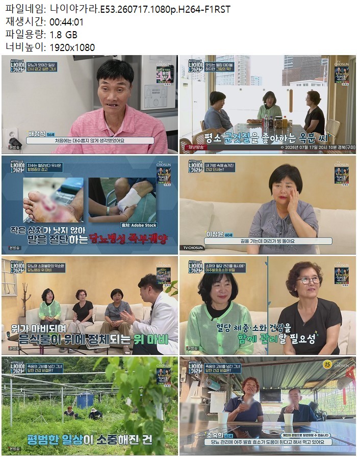 나이야가라.E53.260717.1080p.H264