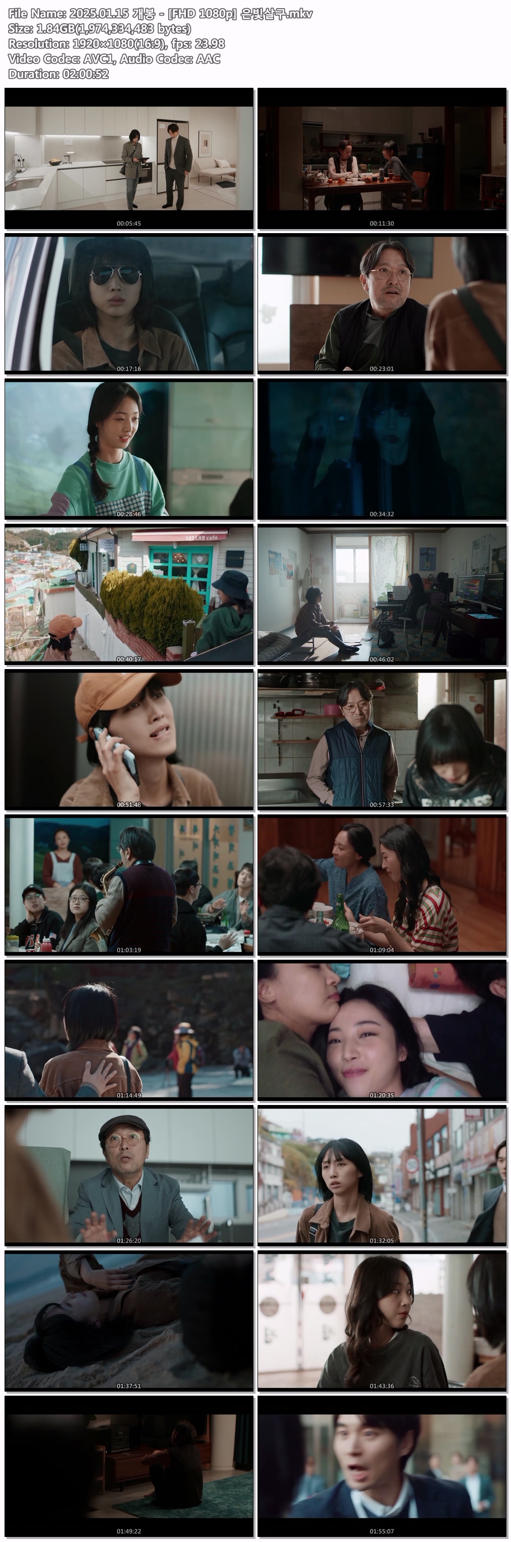 2025.01.15 개봉 - [FHD 1080p] 은빛살구