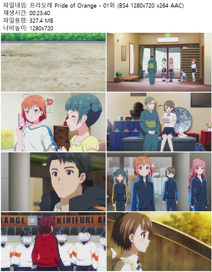 프라오레 Pride of Orange - 01화 (BS4 1280x720 x264 AAC)