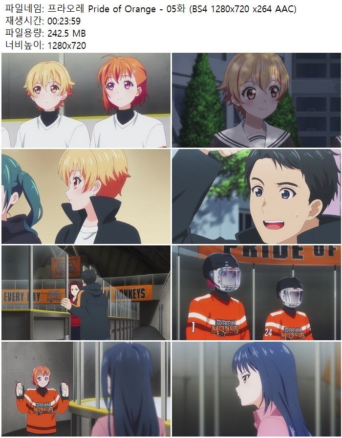 프라오레 Pride of Orange - 05화 (BS4 1280x720 x264 AAC)