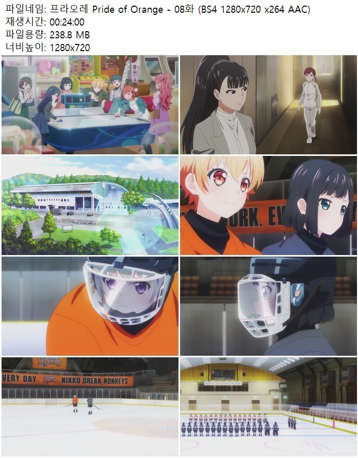 프라오레 Pride of Orange - 08화 (BS4 1280x720 x264 AAC)