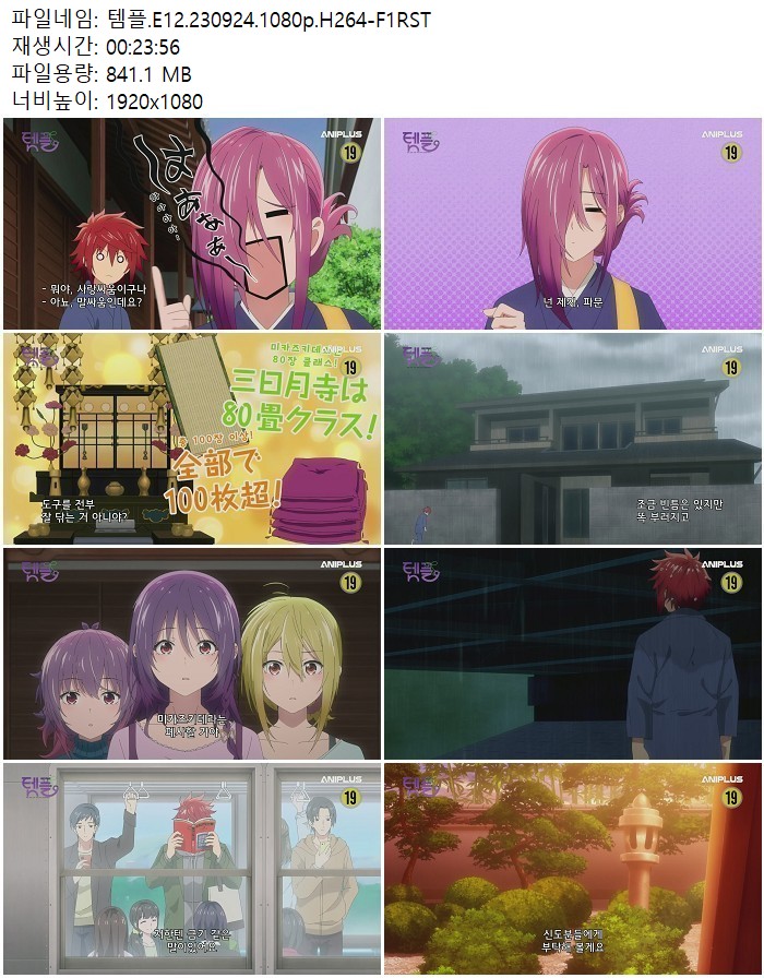 템플.E12.230924.1080p.H264