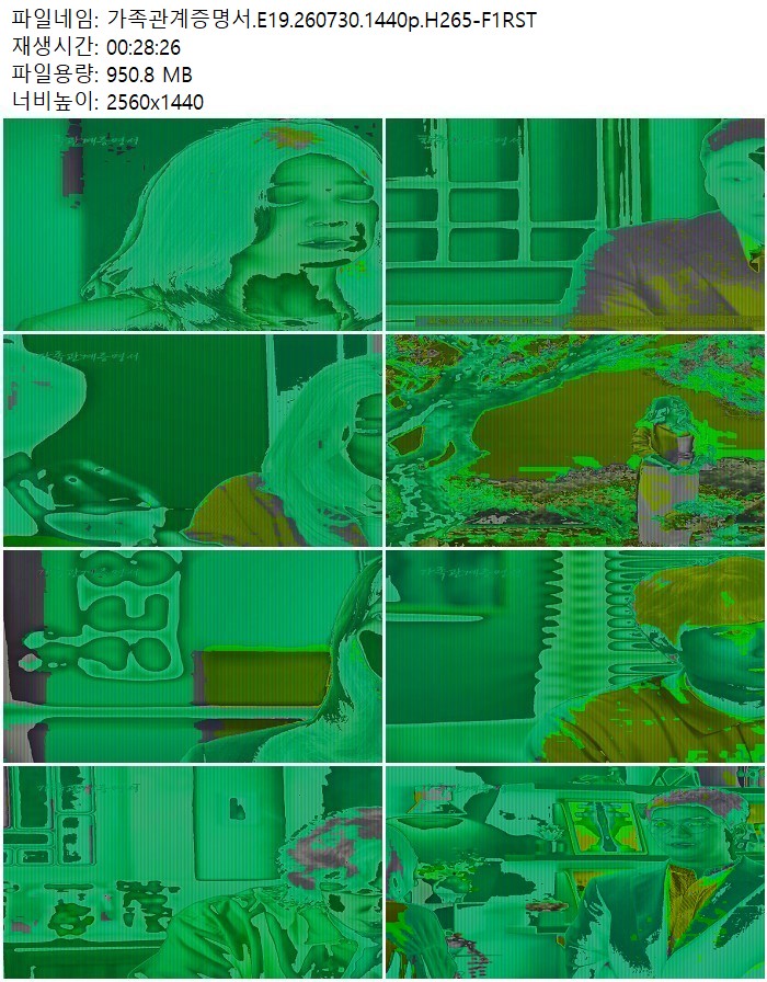 가족관계증명서.E19.260730.1440p.H265