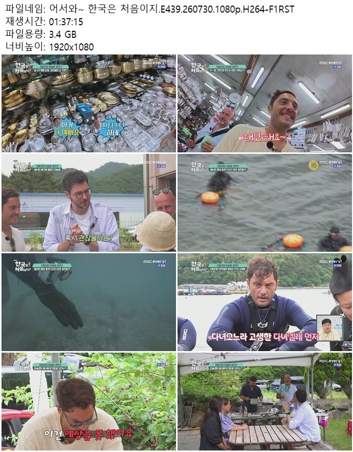 어서와~ 한국은 처음이지.E439.260730.1080p.H264