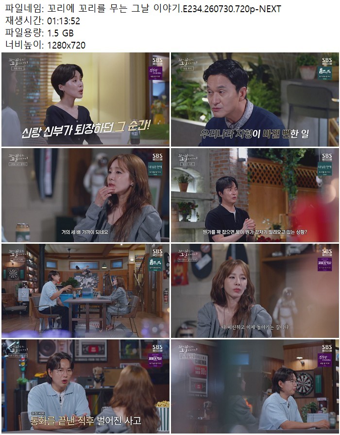 꼬리에 꼬리를 무는 그날 이야기.E234.260730.720p-NEXT