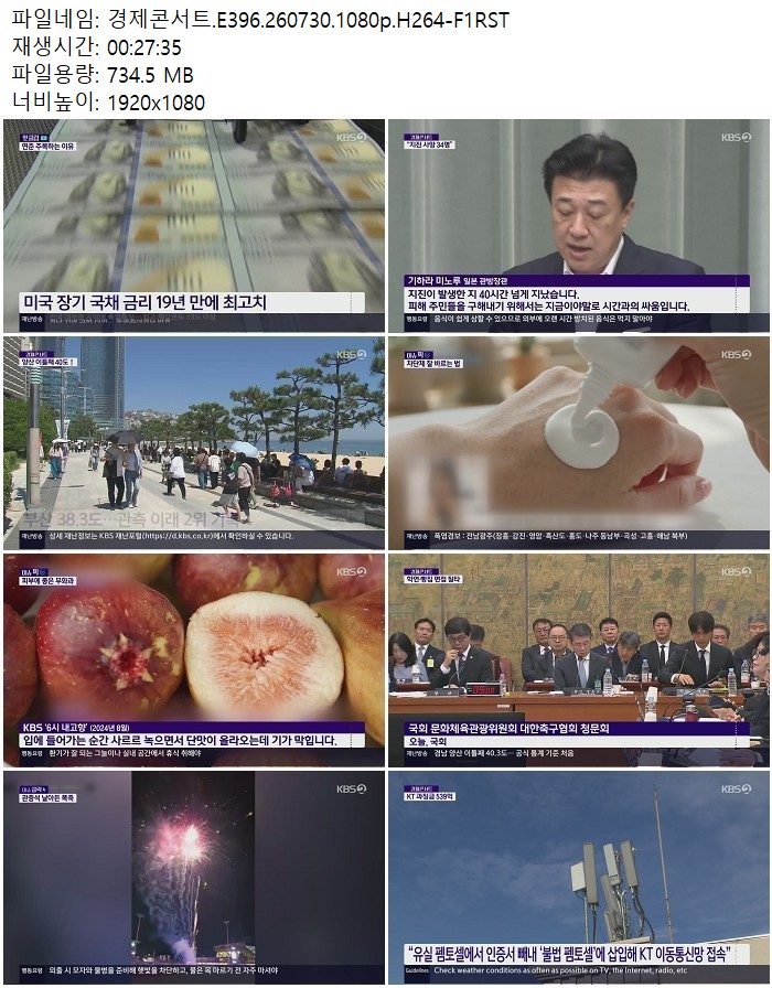 경제콘서트.E396.260730.1080p.H264