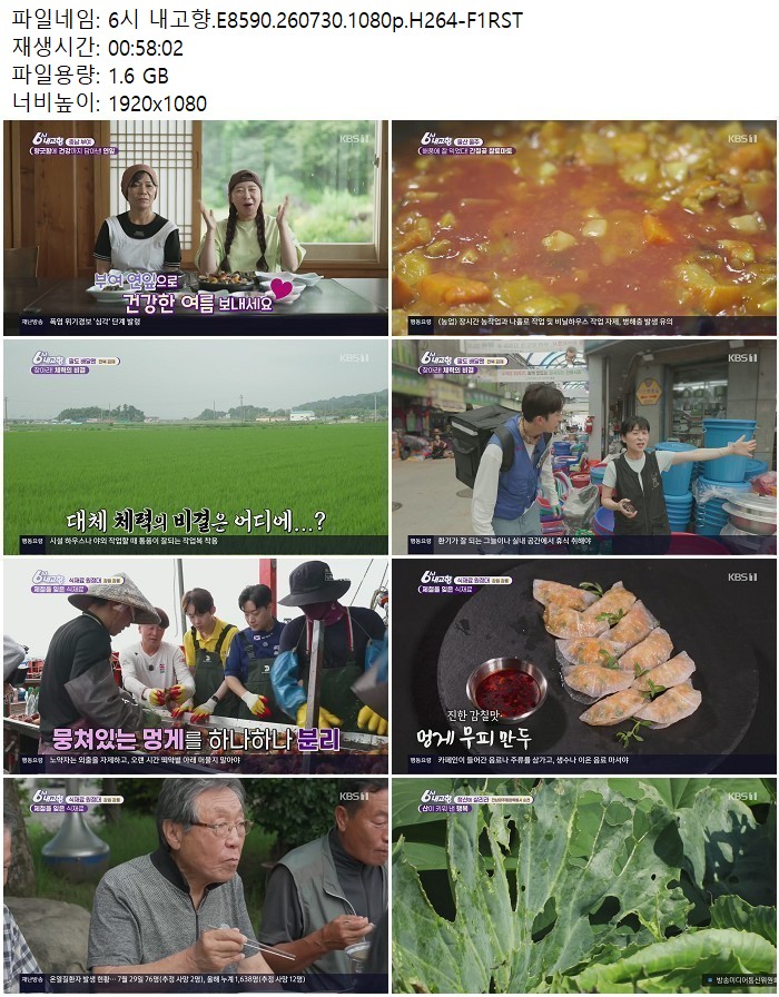 6시 내고향.E8590.260730.1080p.H264