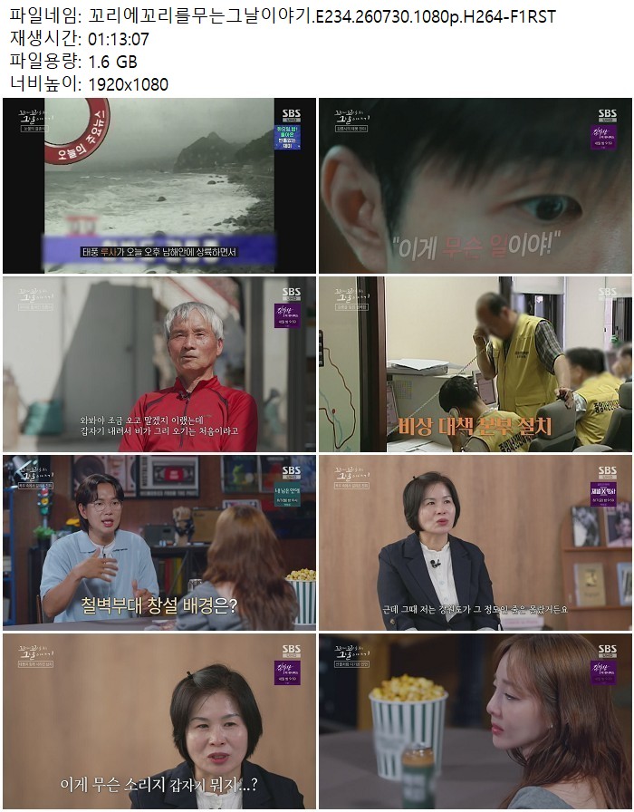 꼬리에꼬리를무는그날이야기.E234.260730.1080p.H264
