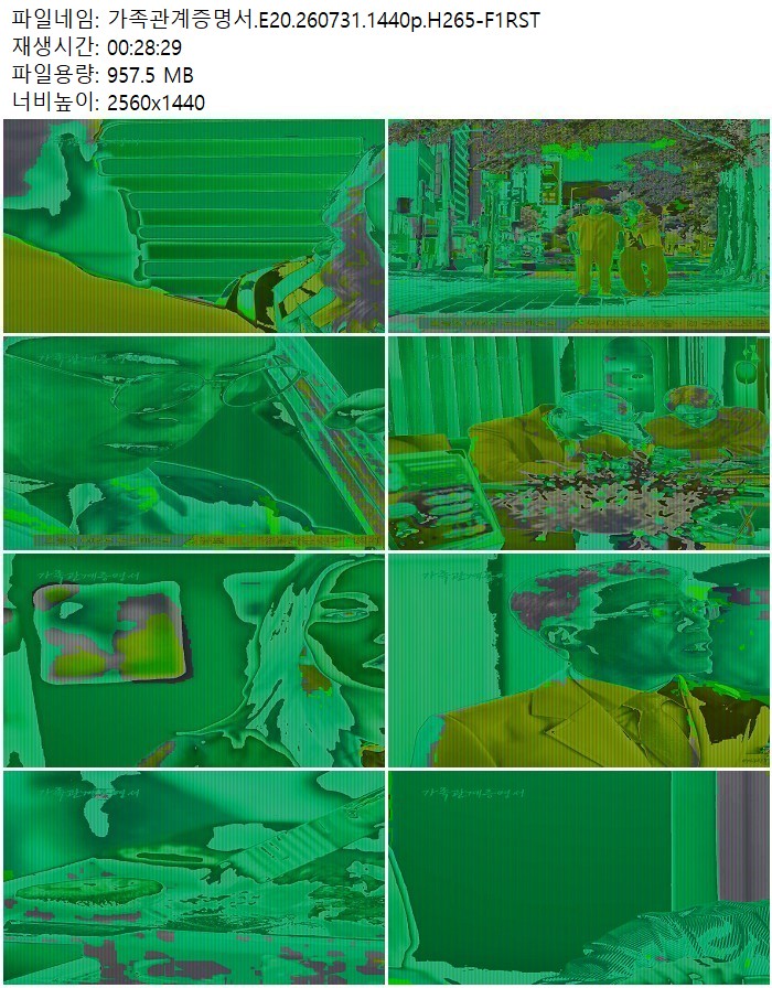 가족관계증명서.E20.260731.1440p.H265