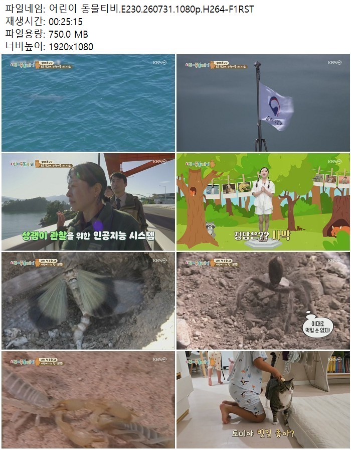 어린이 동물티비.E230.260731.1080p.H264