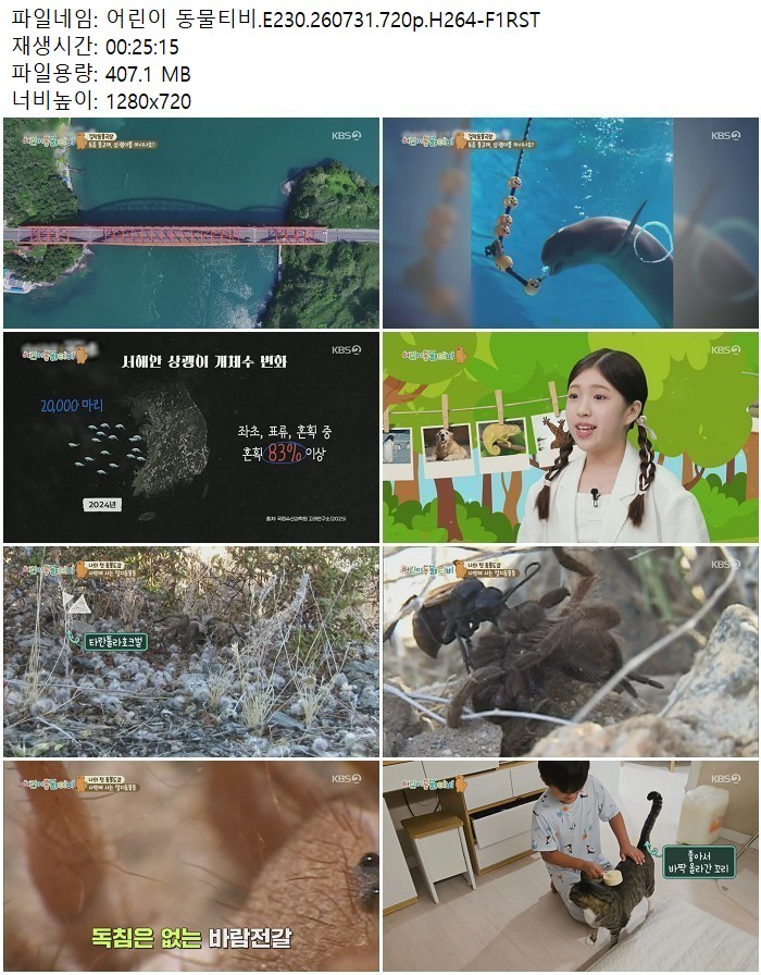 어린이 동물티비.E230.260731.720p.H264