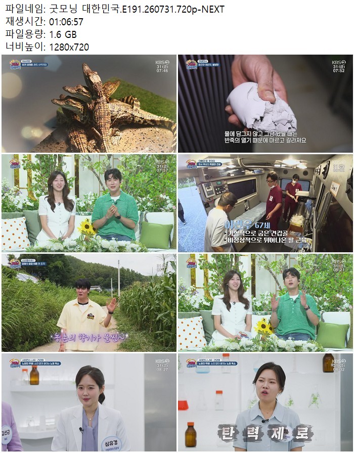 굿모닝 대한민국.E191.260731.720p-NEXT