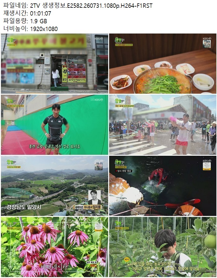 2TV 생생정보.E2582.260731.1080p.H264