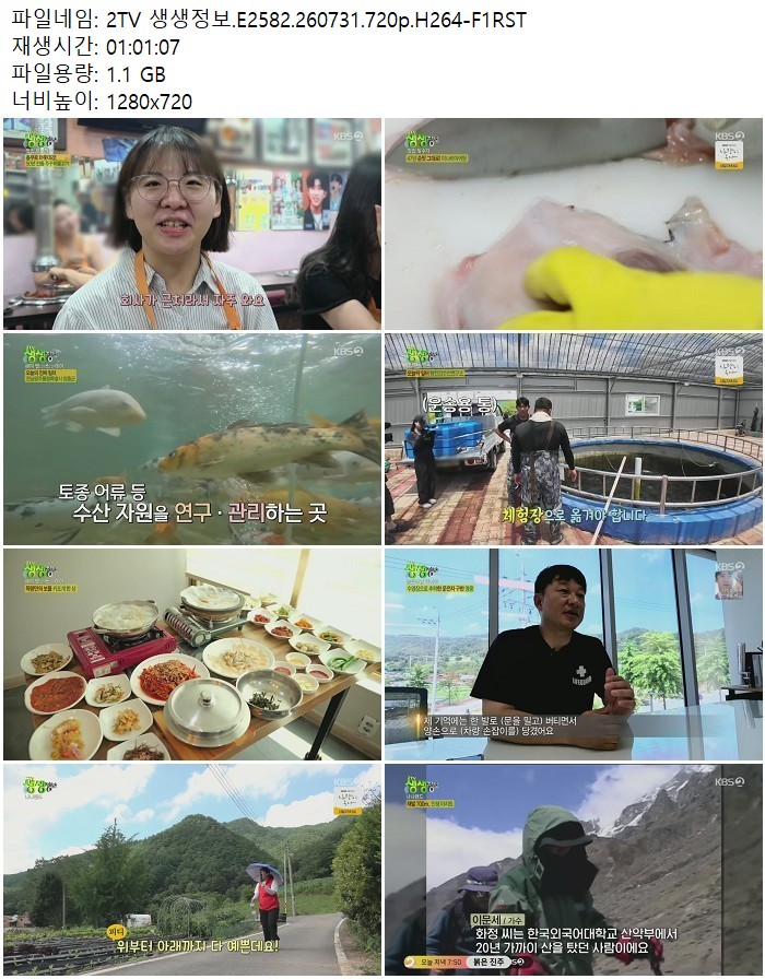 2TV 생생정보.E2582.260731.720p.H264