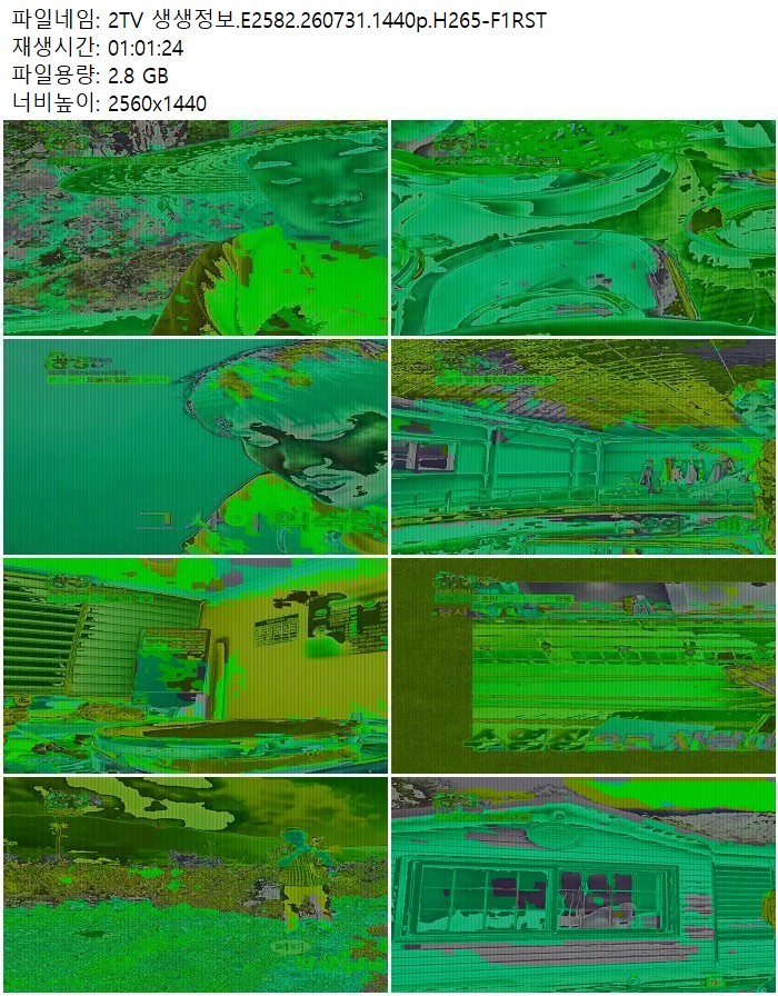 2TV 생생정보.E2582.260731.1440p.H265