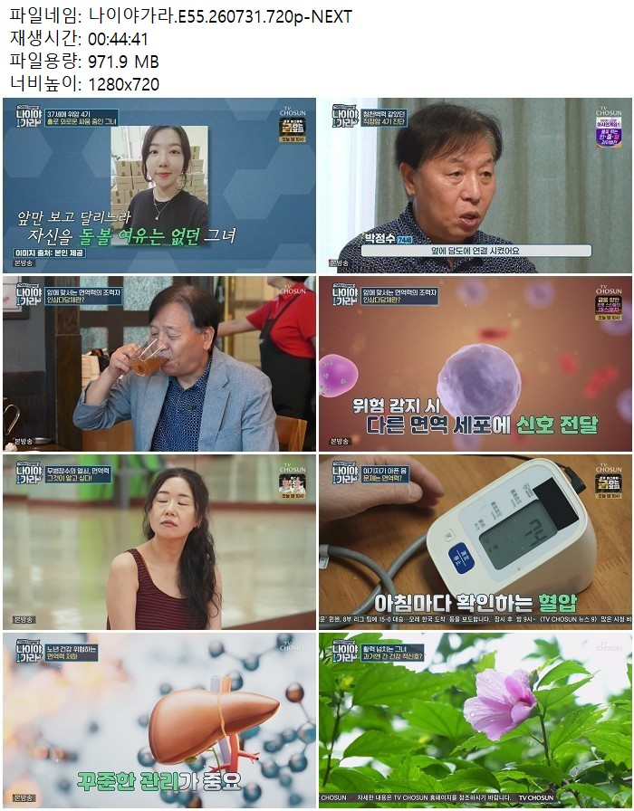 나이야가라.E55.260731.720p-NEXT