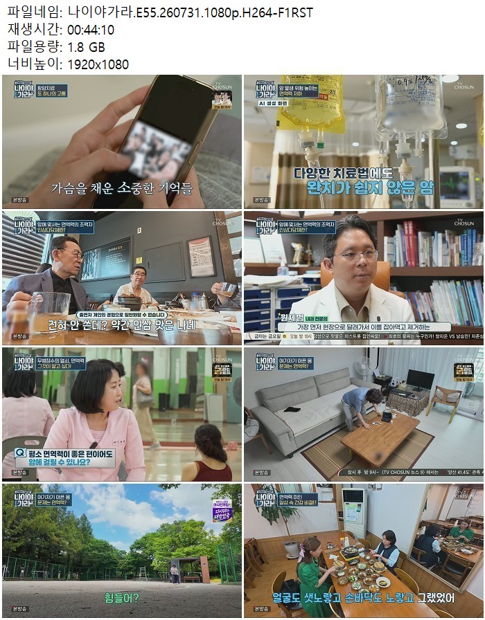 나이야가라.E55.260731.1080p.H264