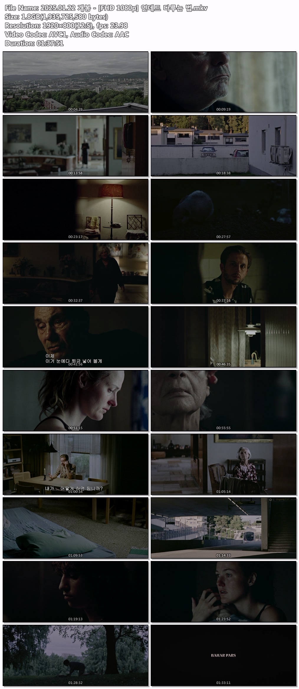 2025.01.22 개봉 - [FHD 1080p] 언데드 다루는 법