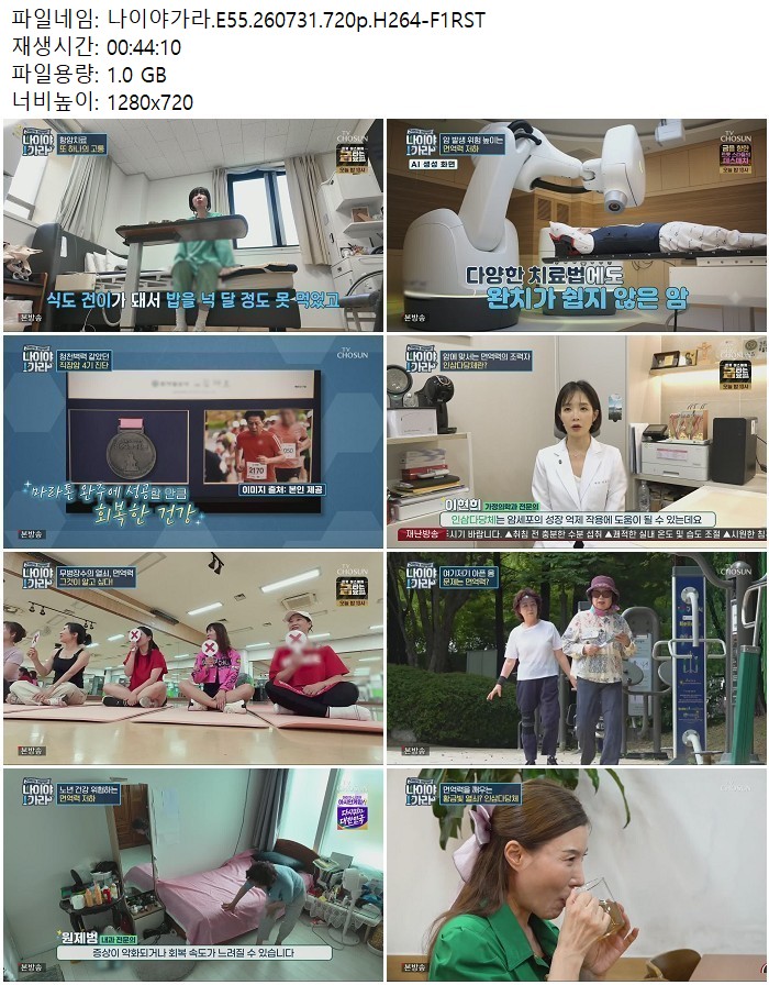 나이야가라.E55.260731.720p.H264