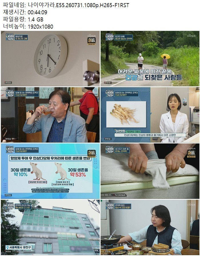 나이야가라.E55.260731.1080p.H265
