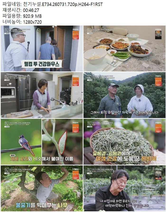 천기누설.E734.260731.720p.H264