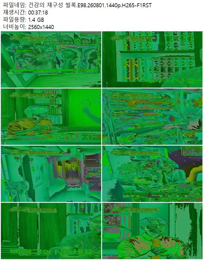건강의 재구성 썰록.E98.260801.1440p.H265