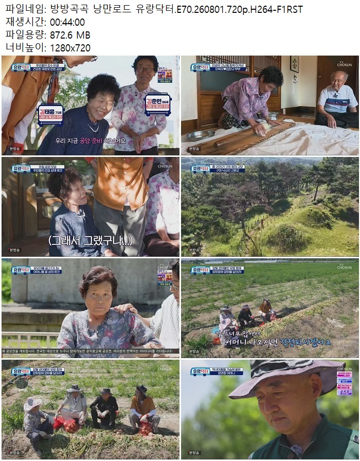 방방곡곡 낭만로드 유랑닥터.E70.260801.720p.H264