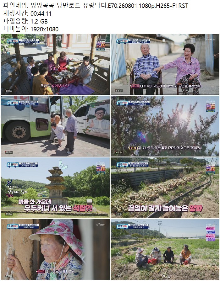 방방곡곡 낭만로드 유랑닥터.E70.260801.1080p.H265
