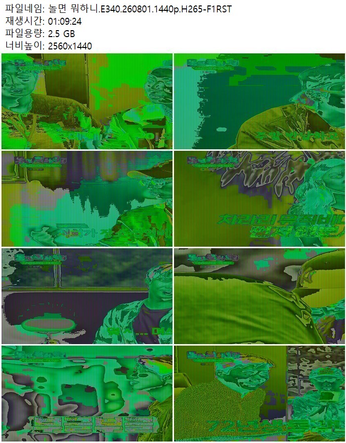 놀면 뭐하니.E340.260801.1440p.H265