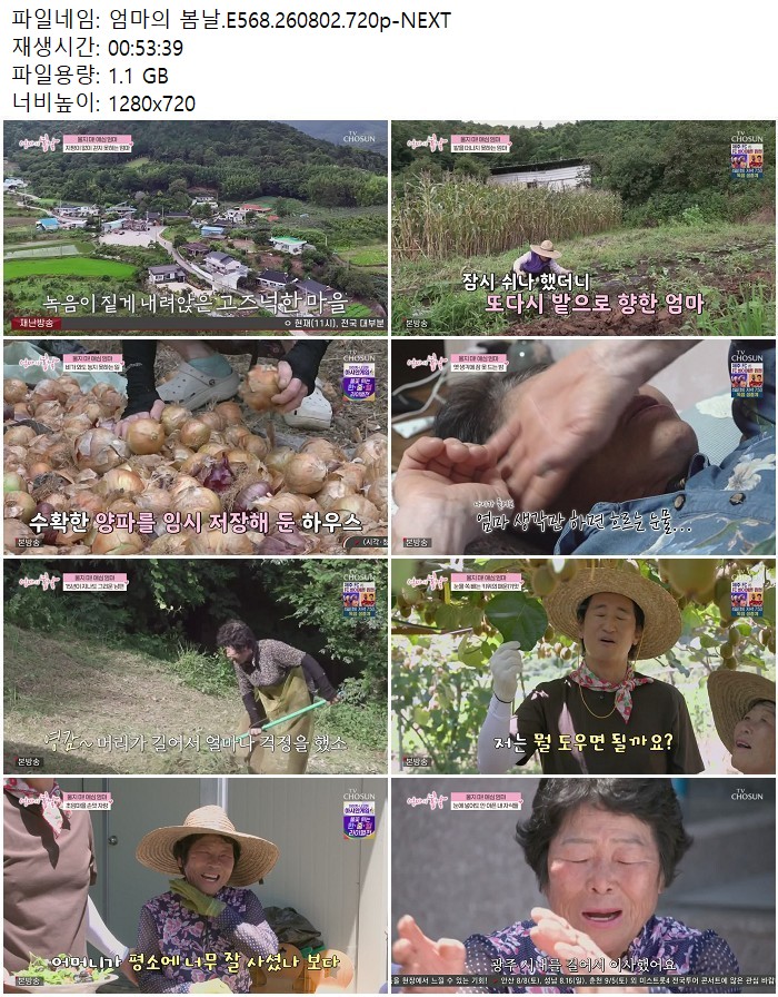 엄마의 봄날.E568.260802.720p-NEXT
