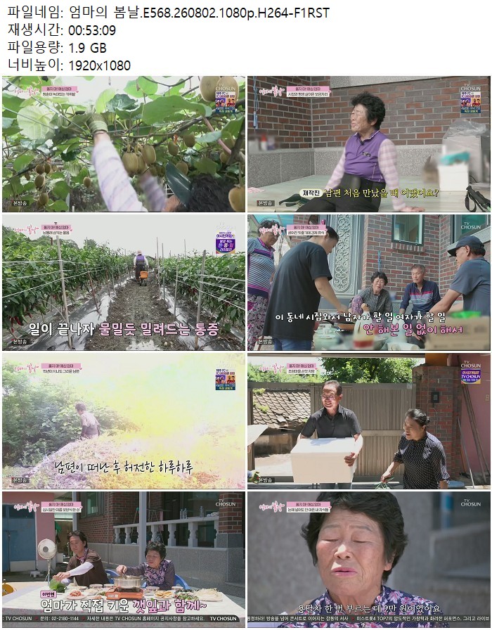 엄마의 봄날.E568.260802.1080p.H264