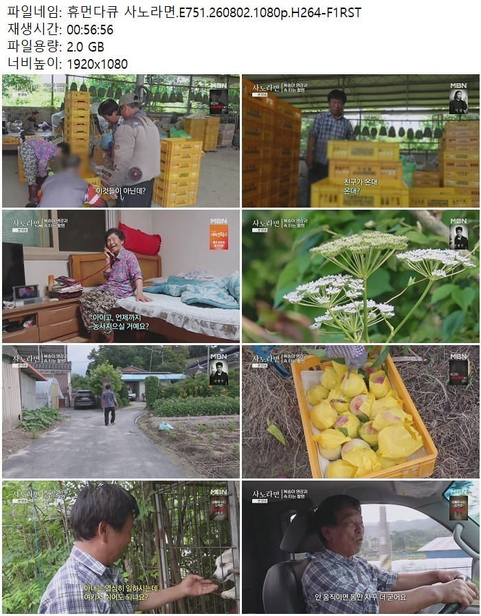 휴먼다큐 사노라면.E751.260802.1080p.H264